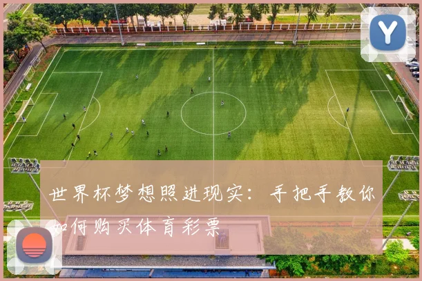 世界杯梦想照进现实：手把手教你如何购买体育彩票