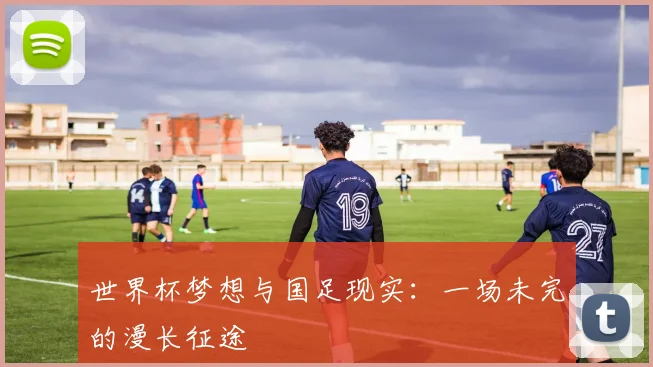 世界杯梦想与国足现实：一场未完的漫长征途